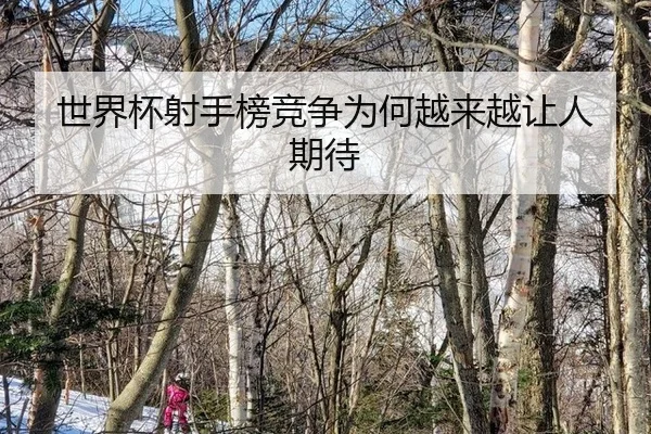shi-jie-bei-she-shou-bang-jing-zheng-wei-he-yue-lai-yue-rang-ren-qi-dai-2-226.jpg
